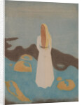 Young Woman on the Beach, 1896 by Anonymous