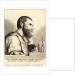 Pietro Aretino by Anonymous