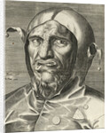 Fools Head, c. 1560 by Anonymous