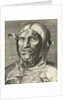 Fools Head, c. 1560 by Anonymous