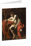 Saint John the Baptist in the Wilderness, 1602 by Anonymous
