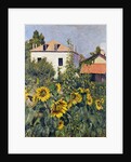 Sunflowers, Garden at Petit Gennevilliers, ca 1885 by Anonymous