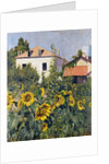 Sunflowers, Garden at Petit Gennevilliers, ca 1885 by Anonymous