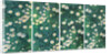 Daisies (Bed of Daisies), c. 1892-1893 by Anonymous