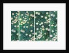 Daisies (Bed of Daisies), c. 1892-1893 by Anonymous