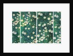 Daisies (Bed of Daisies), c. 1892-1893 by Anonymous