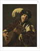 A Boy Playing the Lute (Hearing by Anonymous