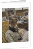 Studio Idyll. The Artists Wife and their Daughter, 1885 by Anonymous