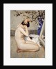 The Head Dress (La Coiffure), 1911 by Anonymous