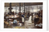 Fish Hall at the Central Market, 1881 by Anonymous