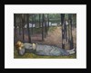 Madeleine in the Bois dAmour, 1888 by Anonymous