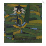 White Blossom in the Garden, 1920 by Anonymous