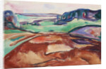 Fra Ekely (From Ekely), 1916 by Anonymous
