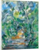 Forest Scene (Path from Mas Jolie to Château noir), 1900-1902 by Anonymous