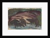 Wild Boars in the Water, 1910-1911 by Anonymous