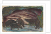 Wild Boars in the Water, 1910-1911 by Anonymous