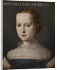Portrait of Isabella de Medici by Anonymous