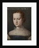 Portrait of Isabella de Medici by Anonymous