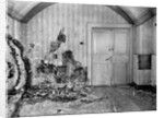 Cellar of Ipatiev house in Yekaterinburg, after the Execution of the Imperial Family in the night on by Anonymous