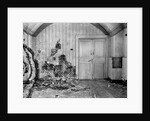 Cellar of Ipatiev house in Yekaterinburg, after the Execution of the Imperial Family in the night on by Anonymous