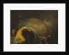 The Spirit of Culmin Appears to his Mother by Anonymous