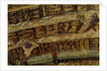 Inferno. (Abyss of Hell). Illustration to the Divine Comedy by Dante Alighieri (Detail), 1480-1490 by Anonymous