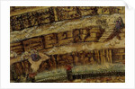 Inferno. (Abyss of Hell). Illustration to the Divine Comedy by Dante Alighieri (Detail), 1480-1490 by Anonymous