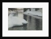 Spring Thaw, 1887 by Anonymous