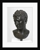 The head of Juba II, King of Numidia, from Volubilis, Morocco, 25 BC-23 CE by Anonymous