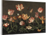 Still Life with Tulips by Anonymous