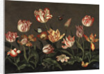 Still Life with Tulips by Anonymous