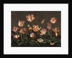 Still Life with Tulips by Anonymous