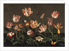 Still Life with Tulips by Anonymous
