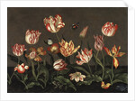 Still Life with Tulips by Anonymous
