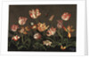 Still Life with Tulips by Anonymous