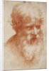 Bearded mans head, c. 1525 by Anonymous