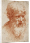 Bearded mans head, c. 1525 by Anonymous