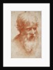 Bearded mans head, c. 1525 by Anonymous