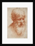 Bearded mans head, c. 1525 by Anonymous