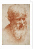 Bearded mans head, c. 1525 by Anonymous