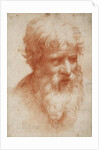 Bearded mans head, c. 1525 by Anonymous