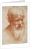 Bearded mans head, c. 1525 by Anonymous