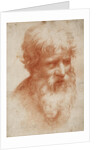 Bearded mans head, c. 1525 by Anonymous
