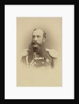 Portrait of Prince Nikolai Sergeevich Dolgorukov, c. 1880 by Anonymous