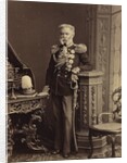 Portrait of Count Vladimir Fyodorovich Adlerberg, 1874 by Anonymous