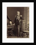 Portrait of Count Vladimir Fyodorovich Adlerberg, 1874 by Anonymous