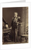 Portrait of Count Vladimir Fyodorovich Adlerberg, 1874 by Anonymous