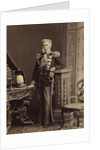 Portrait of Count Vladimir Fyodorovich Adlerberg, 1874 by Anonymous