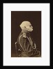 Portrait of Count Fyodor Petrovich Litke, 1874 by Anonymous