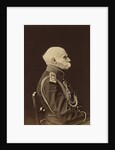 Portrait of Count Fyodor Petrovich Litke, 1874 by Anonymous